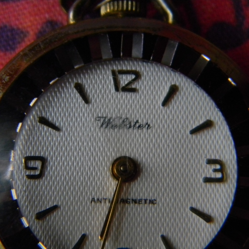 Webster Watch - Picture 4 of 8